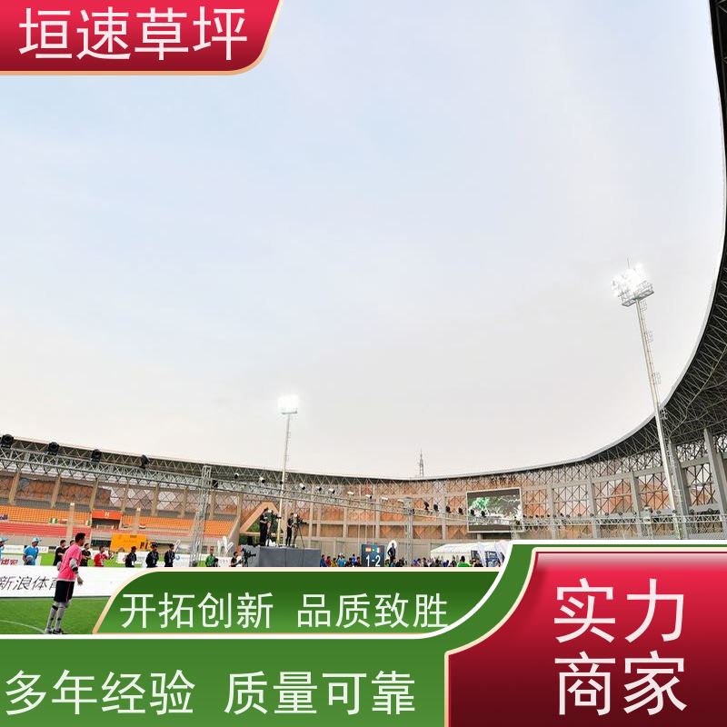 垣速 室外塑料草坪 修建费用 仿真足球场草坪材质选择 苏州足球场搭建