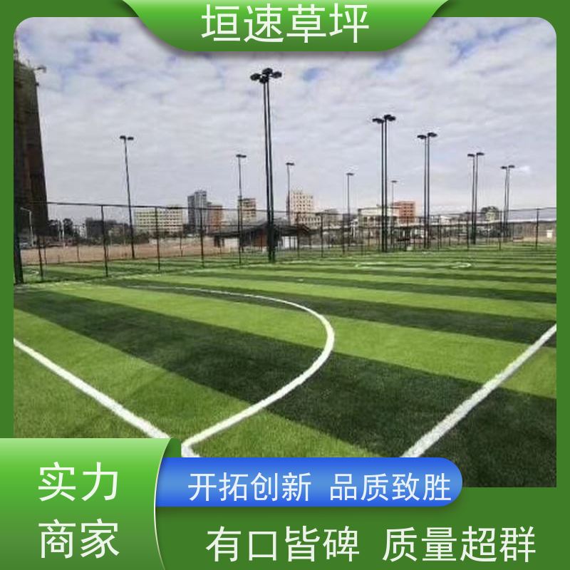 垣速 施工定制 仿真草皮草坪 苏州门球场修建 仿真塑料草坪上门安装