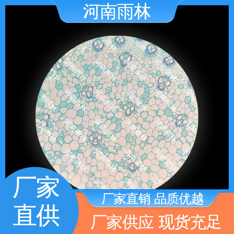 雨林教育 显微切片 个性化定做 品质优良 售后无忧