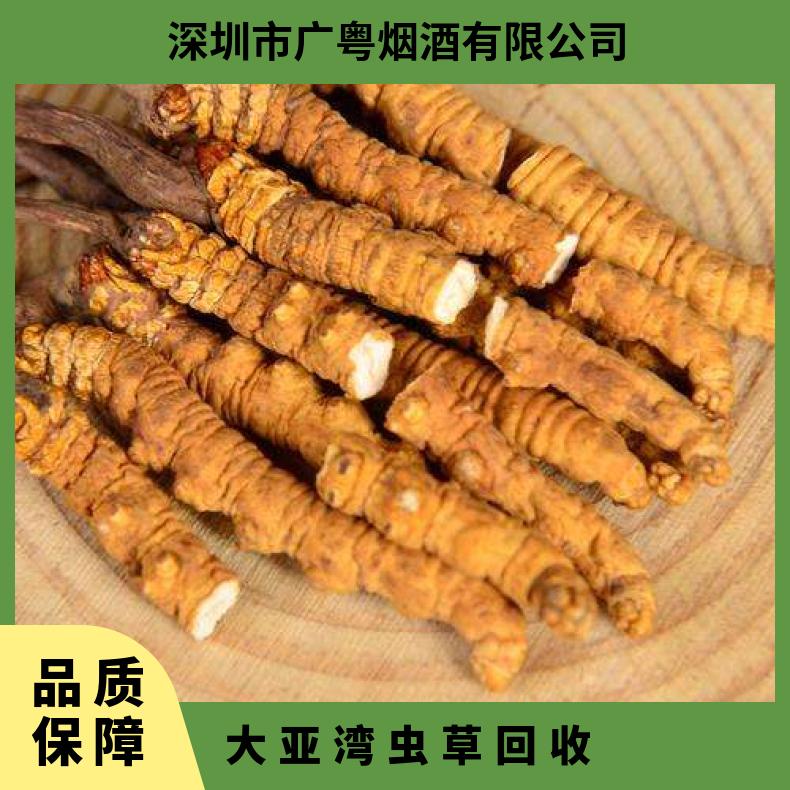大亚湾虫草回收实体店地址 可24小时上门收购冬虫夏草商家