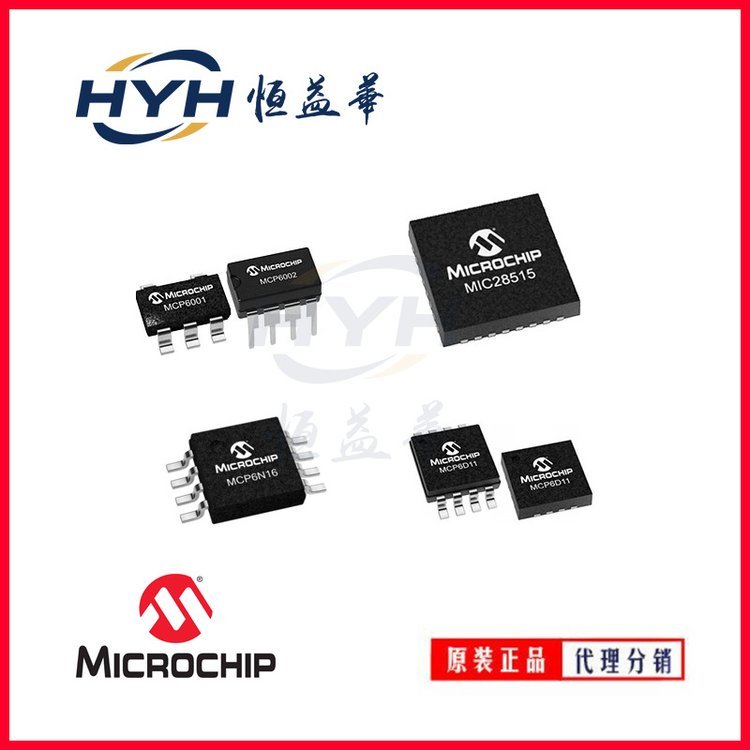 AT25020B-SSHL-T 存储IC MICROCHIP 封装SOP 批号21+