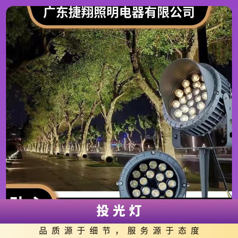捷翔户外景观照树灯公园灯聚光插地灯园林投光灯变色