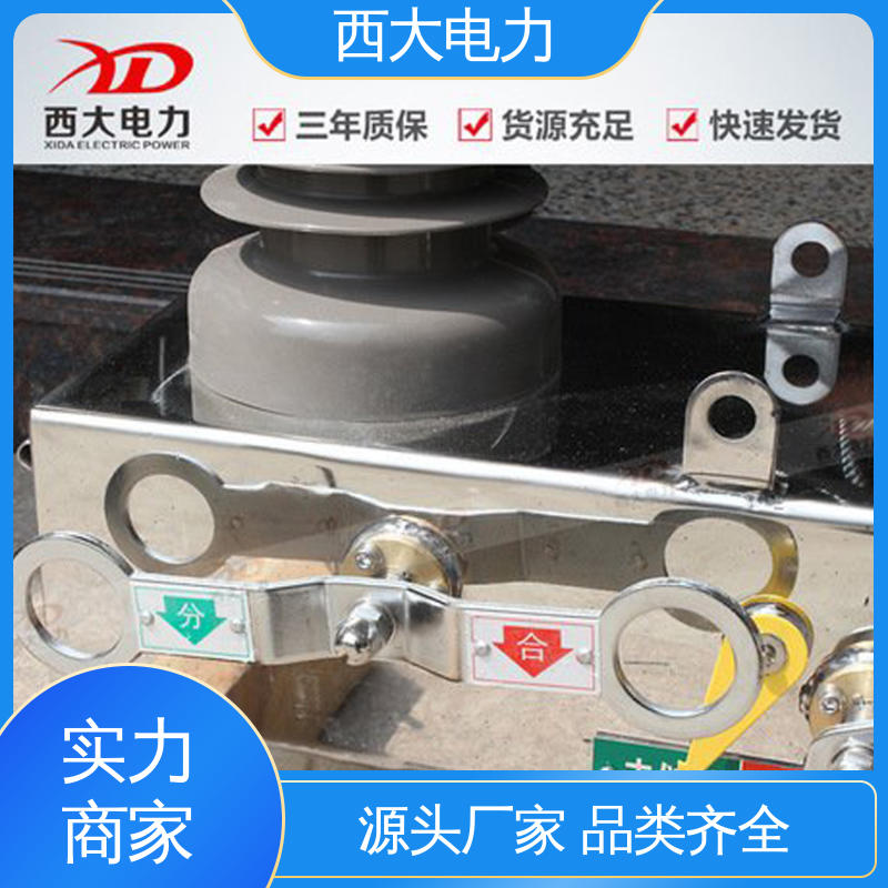 西大电力 柱上真空断路器 ZW32-24F 外形美观 做工细致