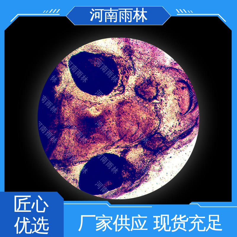 厂家销售 可定制 细胞清晰 显微标本 雨林教育工程