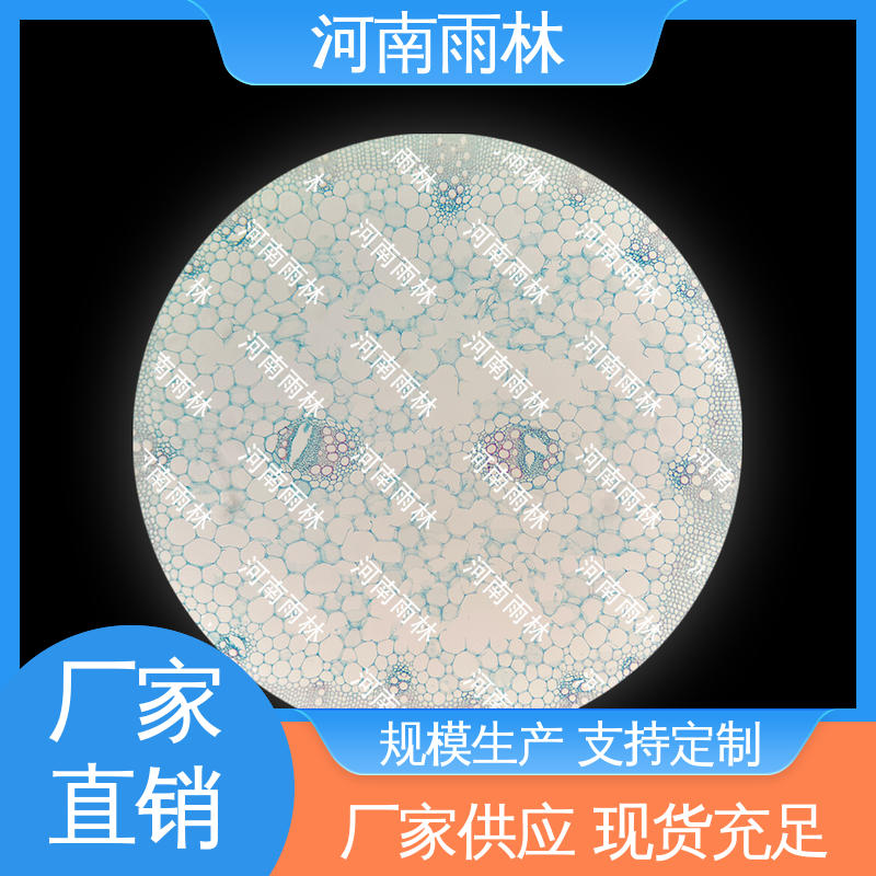 个性化定做 可提供材料 品质优良 生物切片 雨林