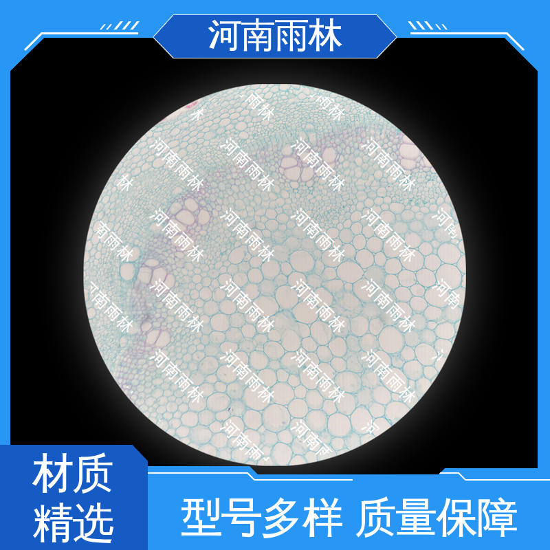 一对一质检 实验切片 质量优 个性化定做 雨林教育