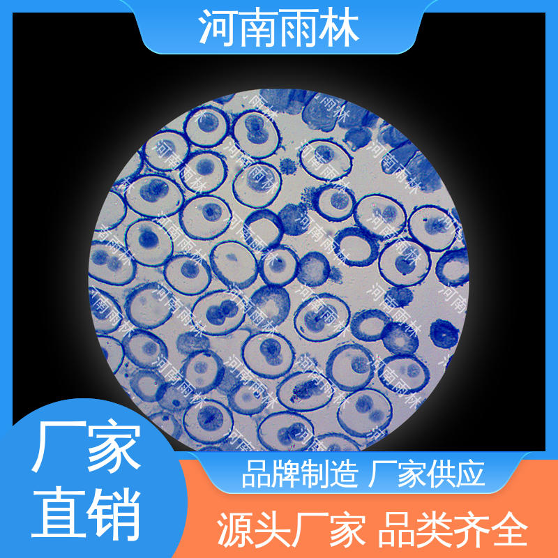实验标本 个性化定做 质量保障 可提供材料 雨林教育