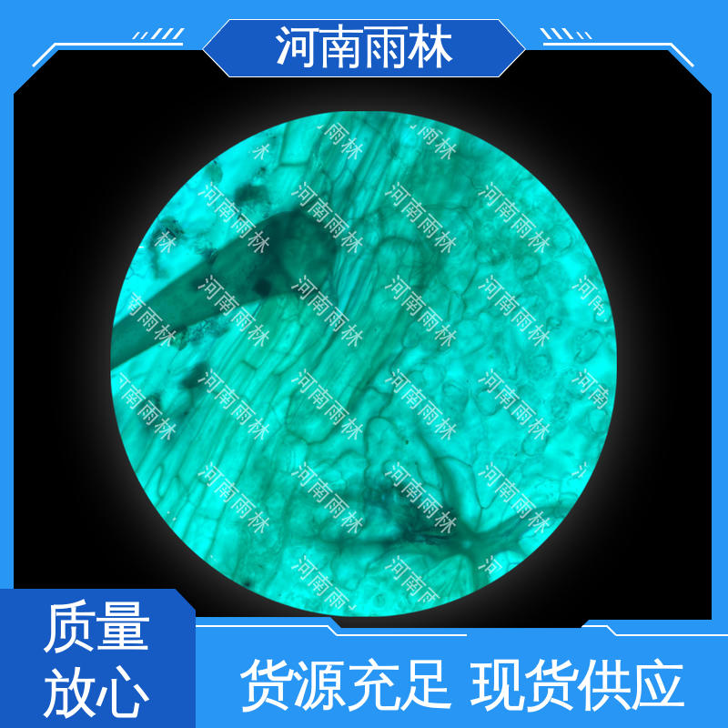 实验标本 质量保障 支持定制 可后期加工 雨林教育