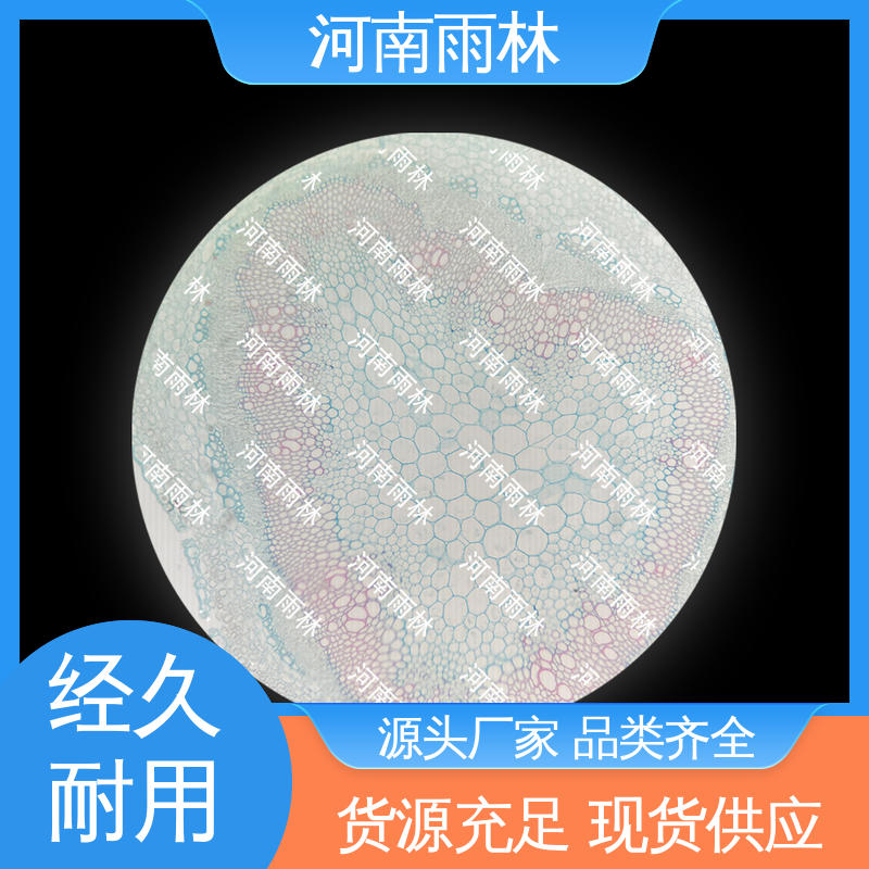 显微标本 个性化定做 颜色鲜亮 质量优 雨林教育