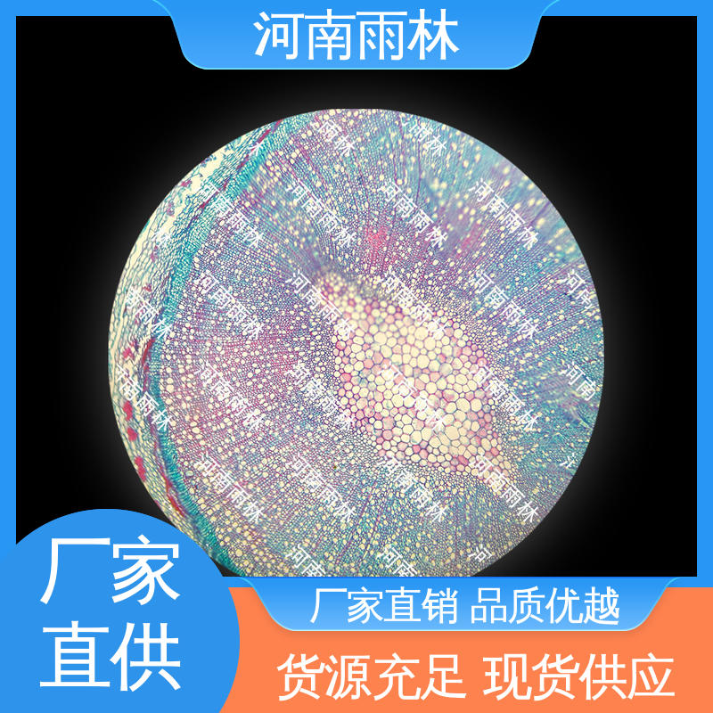 个性化定做 显微切片 售后无忧 颜色鲜亮 雨林教育