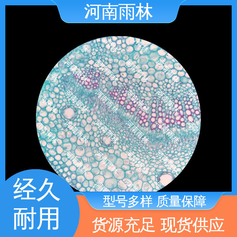 雨林 可后期加工 一对一质检 厂家销售 教学切片