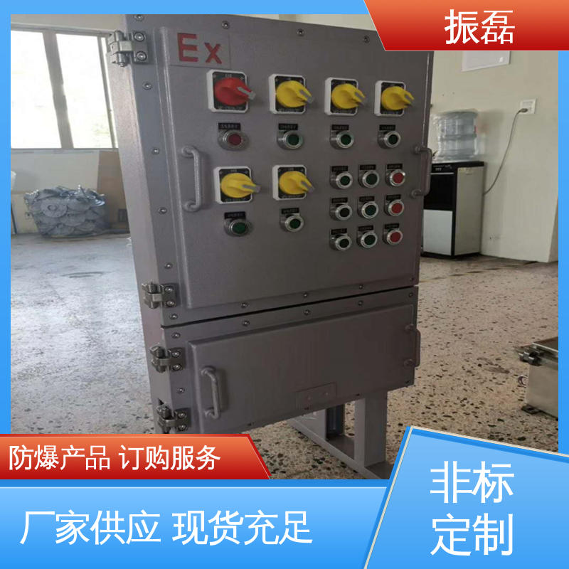 化工厂 加油站 2/4/6/8/10K可定制 防爆配电箱 IP66 IIBT6级 振磊