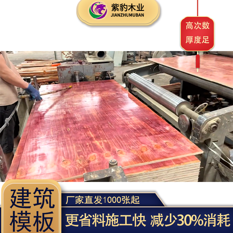 覆膜黑板 尺寸1220*1440 36尺可选模板生产 厂家紫豹木业 1米83宽915