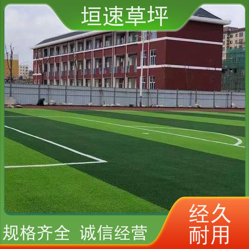 垣速 人造塑胶草坪 上门铺设 塑料草坪厂家施工工艺 上海门球场地改造