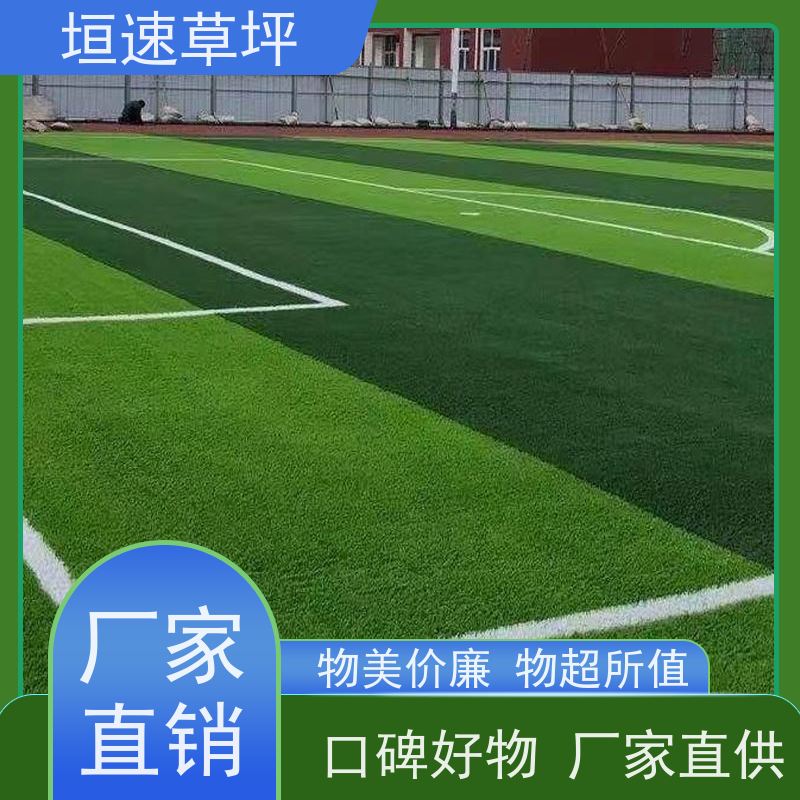 垣速 人造塑胶草坪 苏州门球场地新建 安装铺设 塑料草坪厂家施工工艺
