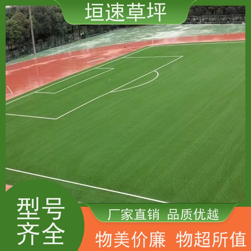 垣速 塑料草坪厂家施工工艺 上海足球场承建 人造塑胶草坪 施工定制