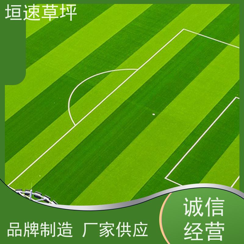 垣速 杭州门球场新建 仿真地毯草坪 厂家定制 仿真塑料草坪上门安装