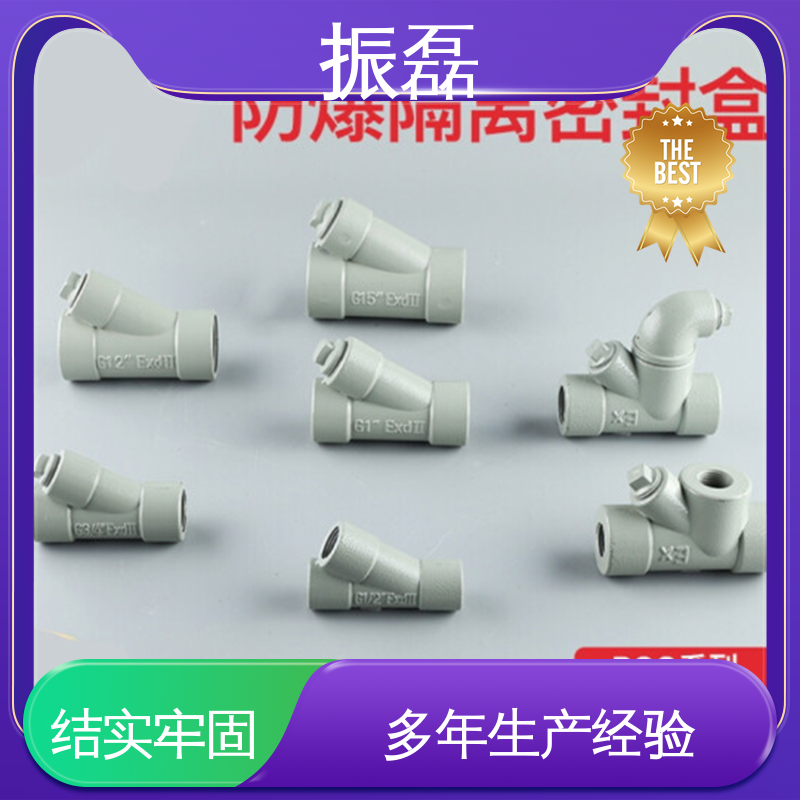 振磊 接堵头一寸横纵向穿线 MBG y型防爆隔离密封盒