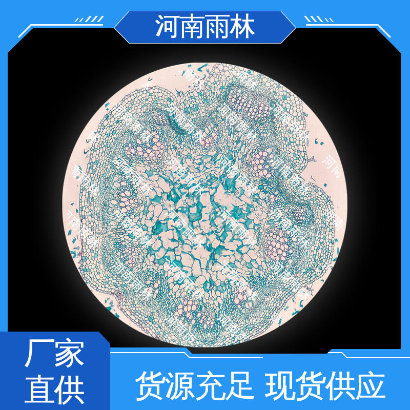 售后无忧 个性化定做 实验切片 质量保障 雨林教育工程