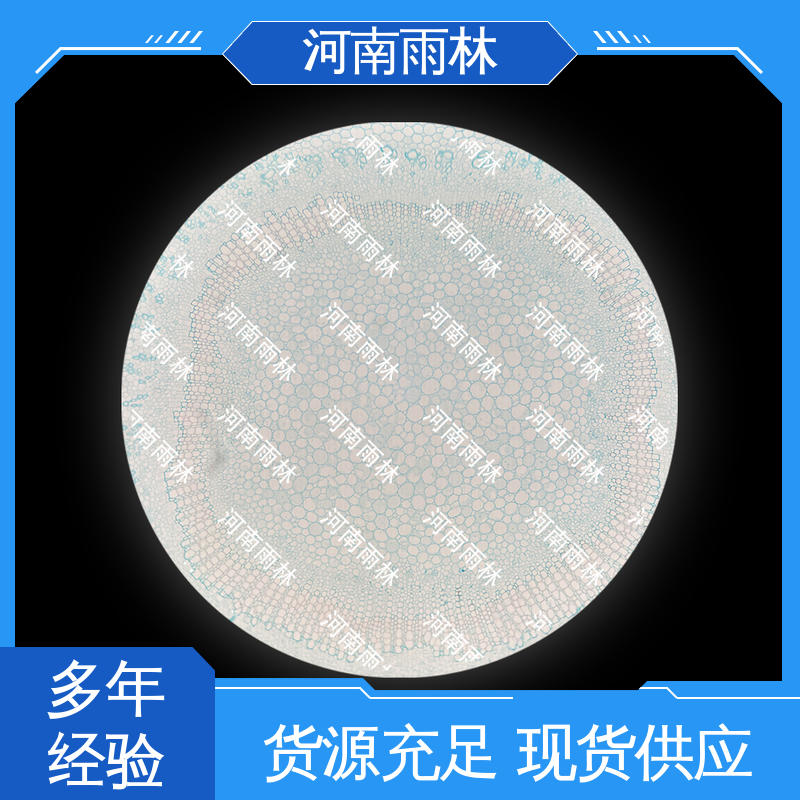 雨林教育工程 切片安全 性价比高 厂家销售 实验标本