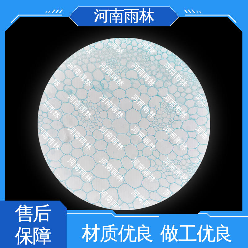 雨林教育工程 显微切片 细胞清晰 售后无忧 源头工厂