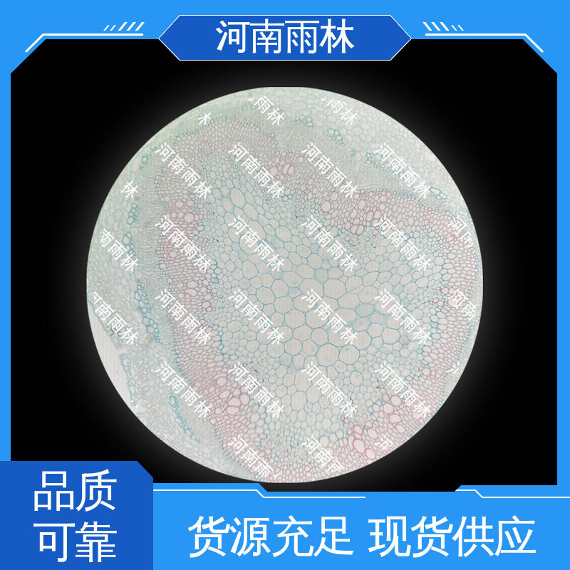 雨林教育工程 厂家销售 可后期加工 品质优良 植物切片