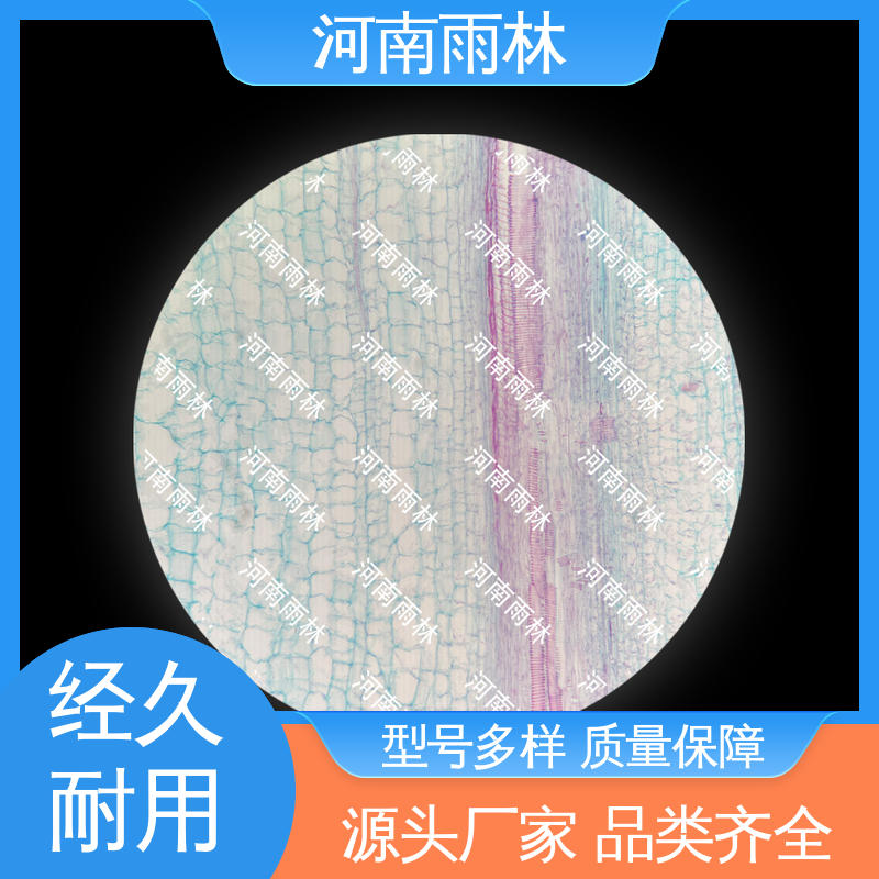 植物切片 品质优良 源头工厂 质量优 雨林教育工程