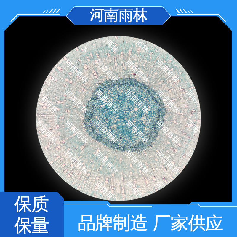 雨林教育工程 一对一质检 各类标本 可定制 专业