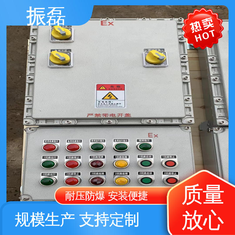 防爆配电箱 非标检修箱 专用堵头 化工厂 加油站 振磊