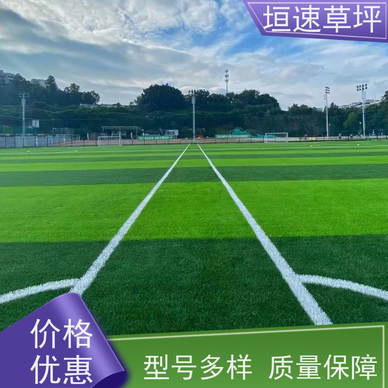 垣速 塑料草坪厂家施工工艺 杭州门球场新建 人造塑胶草坪 厂家定制