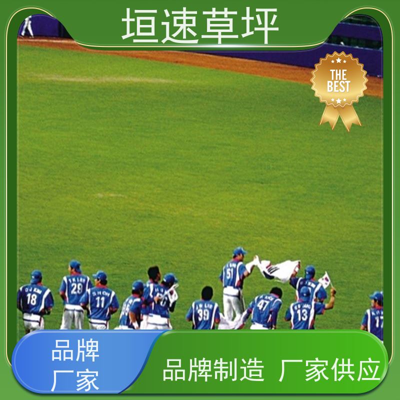 垣速 上海足球场承建 人造草坪装饰 承包施工 屋面绿化草坪基础施工