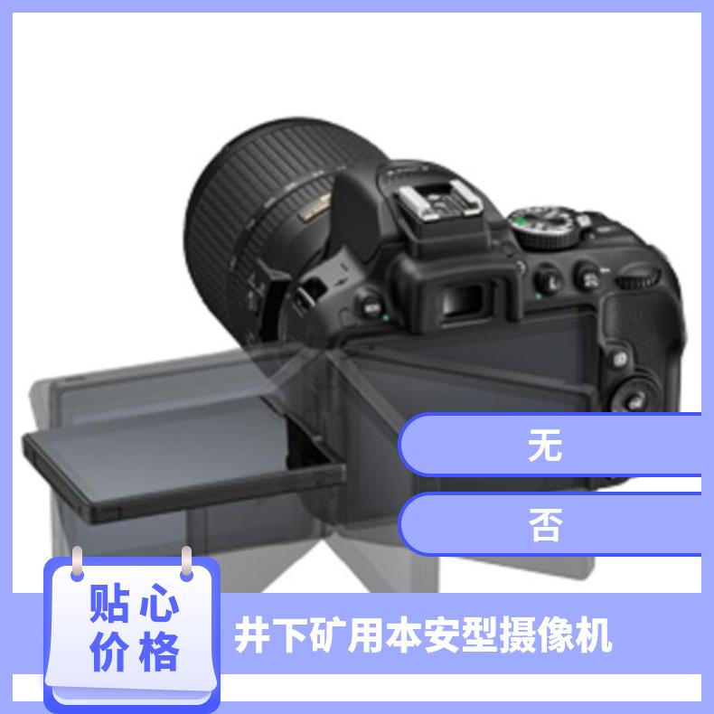 像素高本安型数码照相机ZHS2640数码相机分辨率高图像清晰 