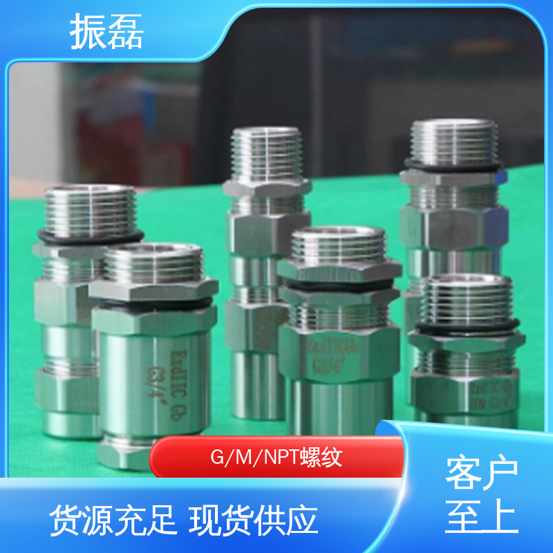 振磊 BDM 防爆密封接头 碳钢非铠装G螺纹 按需定制