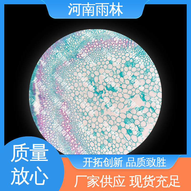 雨林教育工程 支持定制 各类标本 切片安全 售后无忧