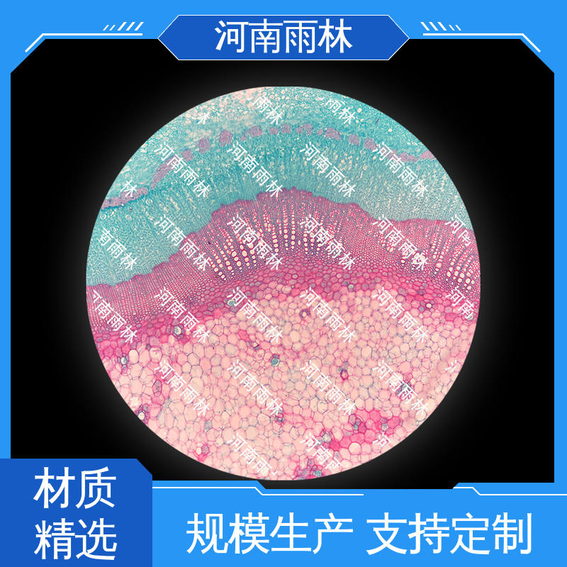 显微切片 品质优良 个性化定做 质量优 雨林教育