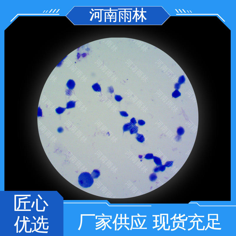 一对一质检 性价比高 个性化定做 显微标本 雨林教育