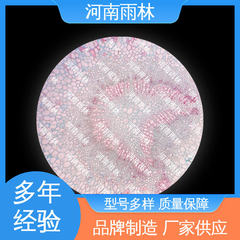 雨林教育工程 一对一质检 售后无忧 生物切片 专业
