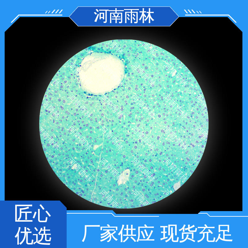 雨林教育工程 一对一质检 可提供材料 植物标本