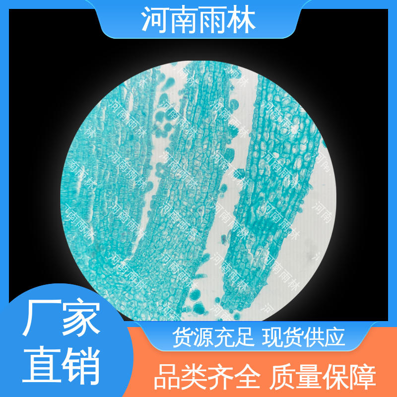 雨林教育工程 源头工厂 显微切片 颜色鲜亮 售后无忧