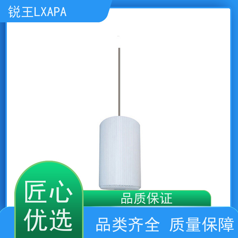锐王LXAPA 小区公共广播系统设备 灯塔式草地扬声器 定压吸顶喇叭
