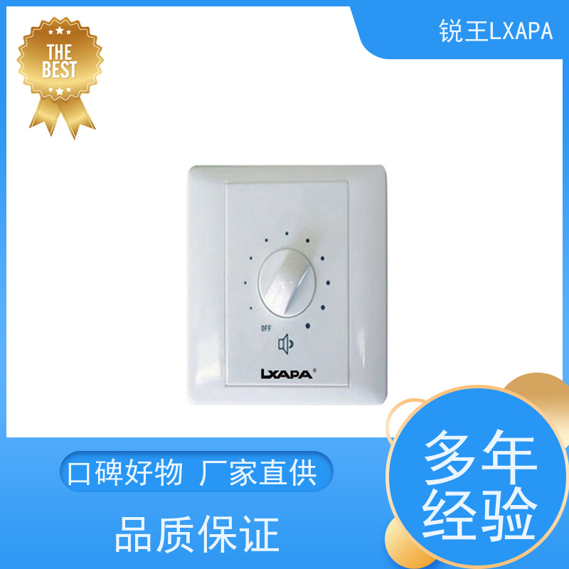 锐王LXAPA 酒店公共广播 草坪音箱 IP网络有源吸顶喇叭音响