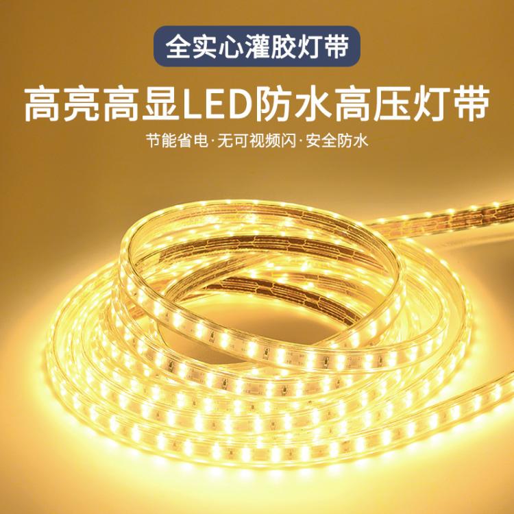 LED高压220V包胶IP65铜支架高亮户外室内工程家装灯带