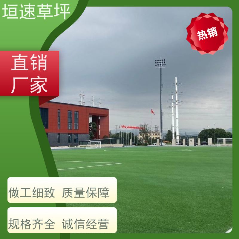垣速 人造草坪地垫 杭州足球场建筑 翻修维护 屋面绿化草坪基础施工