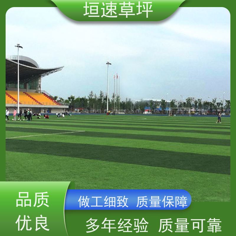 垣速 制作公司 景观塑料草坪造价成本 人造草坪装饰 上海橄榄球场建设