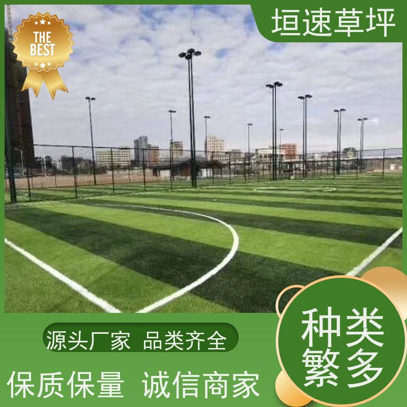 垣速 人工草皮球场地面处理 制作公司 景观人造草坪 苏州门球场地新建