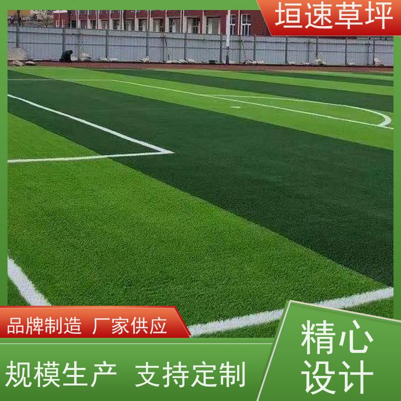垣速 安装铺设 屋面绿化草坪 上海橄榄球场建设 人工草皮球场地面处理