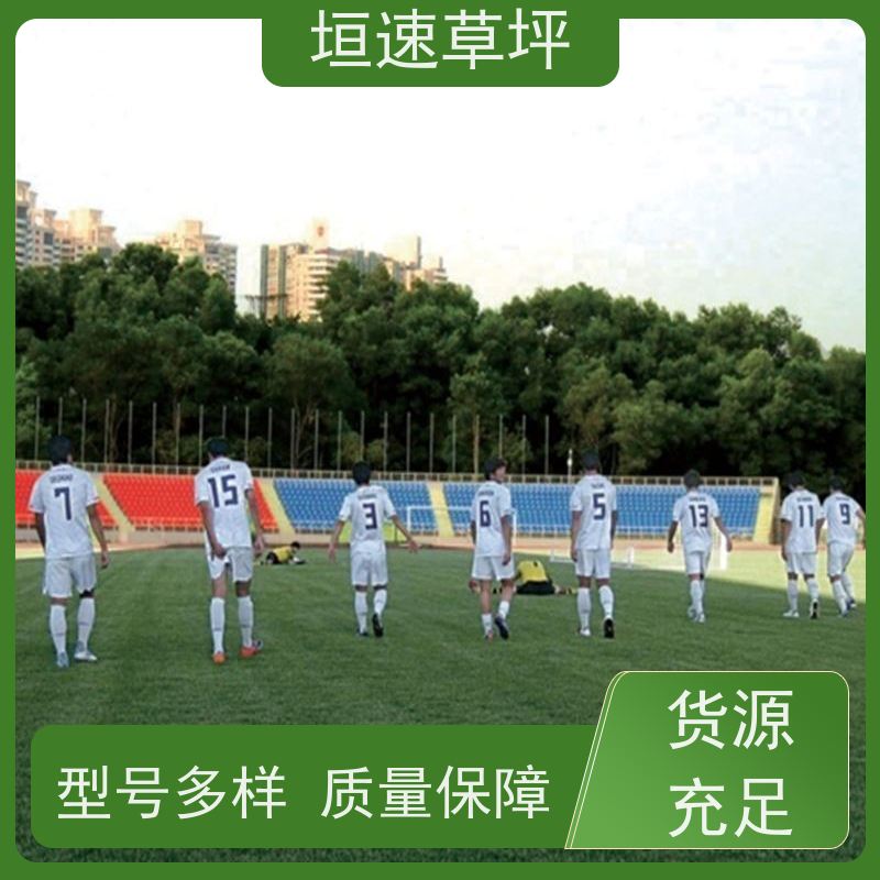 垣速 施工建设 塑料仿真草坪 苏州门球场修建 足球场塑胶草坪规划设计