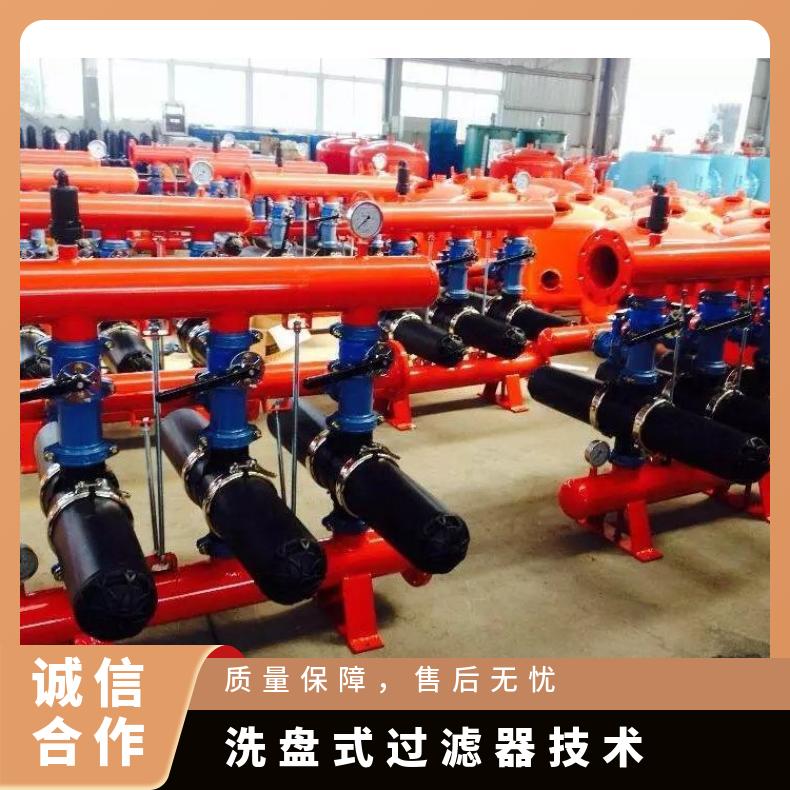 盘式过滤器 自动反冲洗生产厂家 励进 可清洗 LJDP3-2 法兰连接