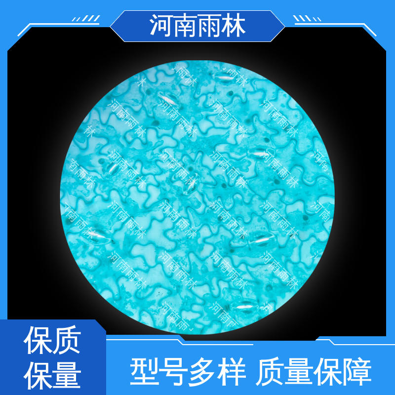 显微标本 细胞清晰 专业 售后无忧 雨林教育工程