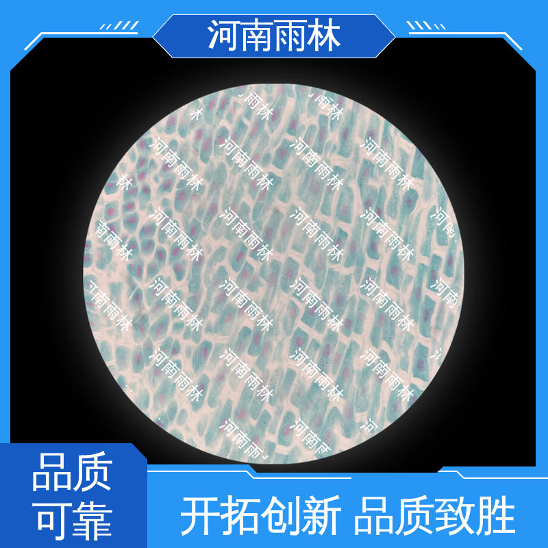 细胞清晰 性价比高 生物切片 厂家销售 雨林教育工程